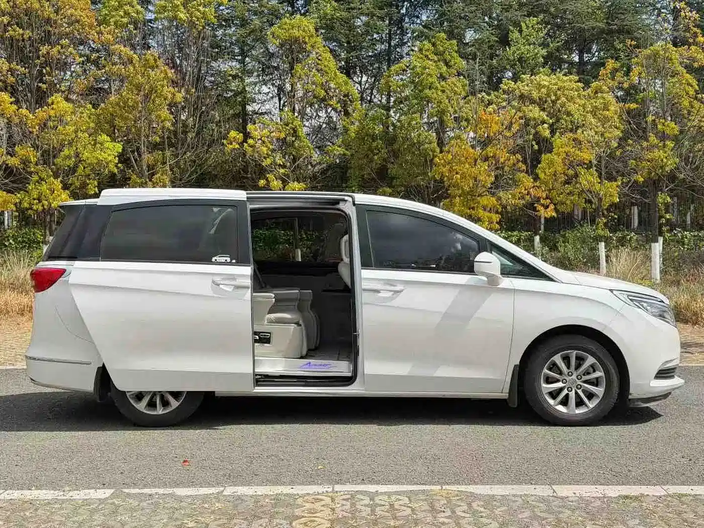 Buick GL8 2017 ES 28T Comfort Type China V фото 4