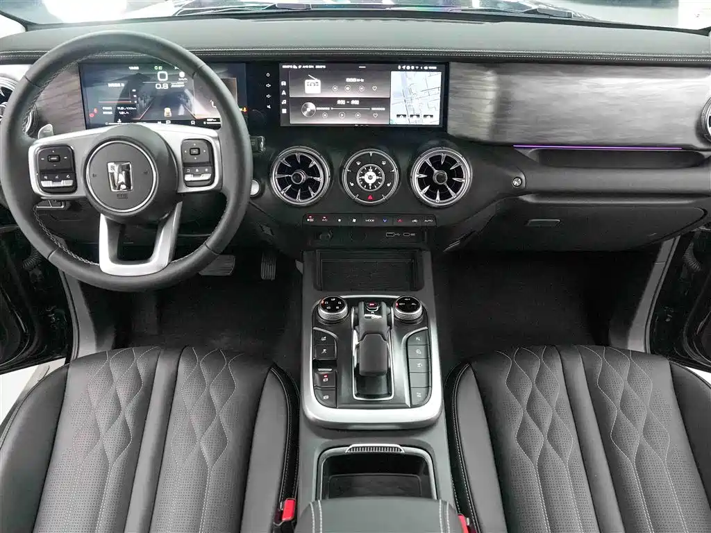 Tank 300 2024 Model 2.0T Challenger фото 10