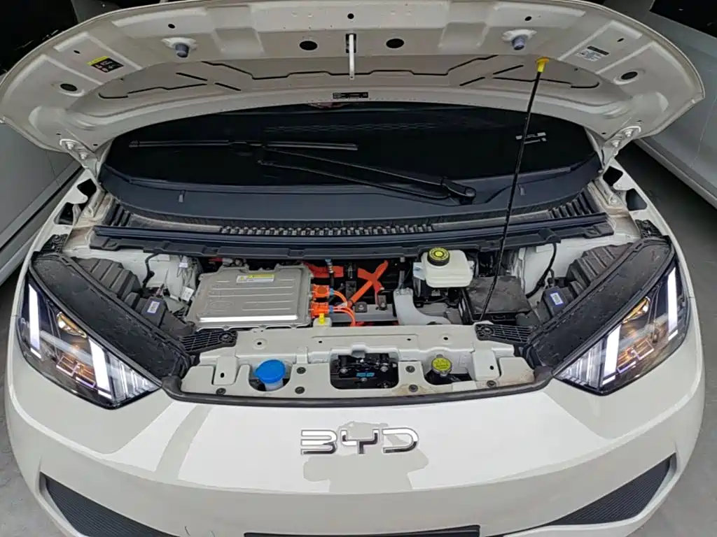 BYD Seagull 2026 2025 Smart Drive Edition 305km Vitality Version