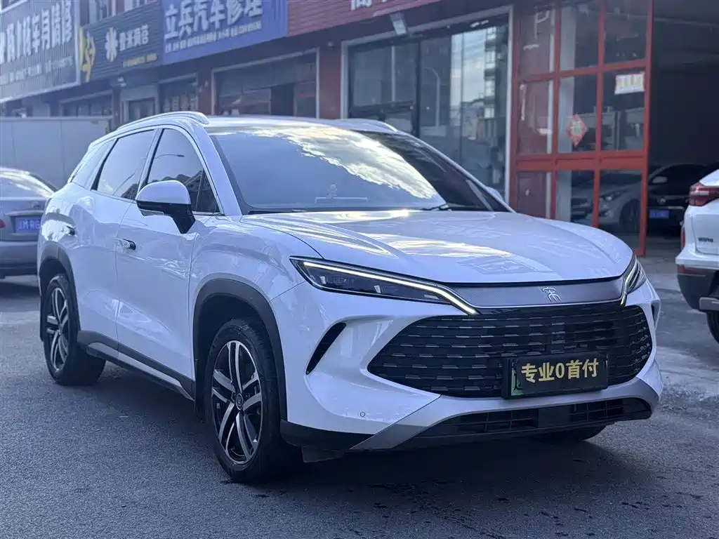 BYD Song L DM-i 2024 112km Leading Edition фото 2