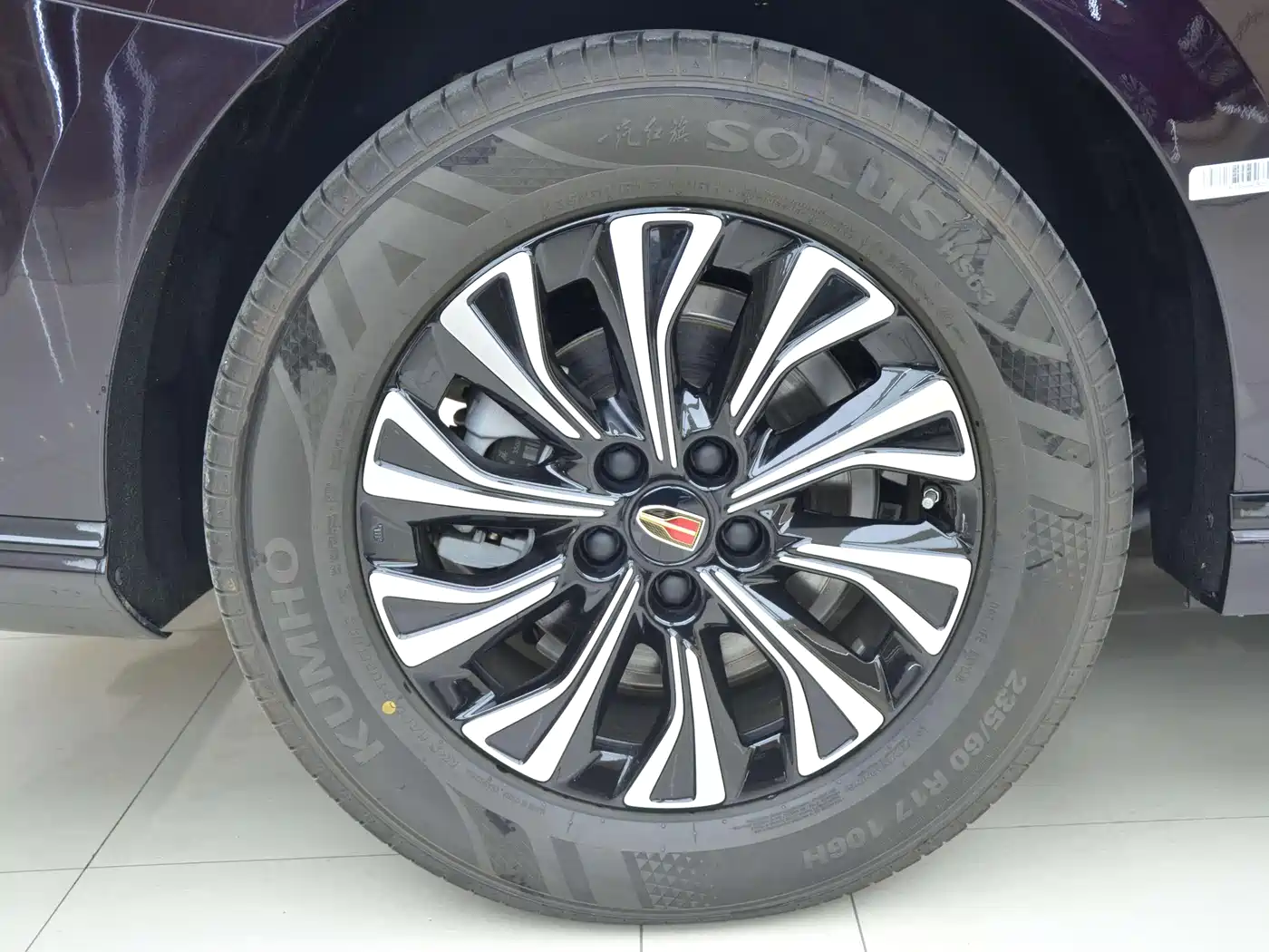 Hongqi HQ9 PHEV 2024 Model 2.0T AWD Business Edition фото 16
