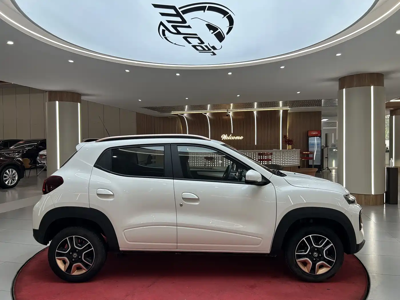 Dongfeng Yipai Nano BOX 2024 2022 Wind Chaser Edition 351KM Advanced