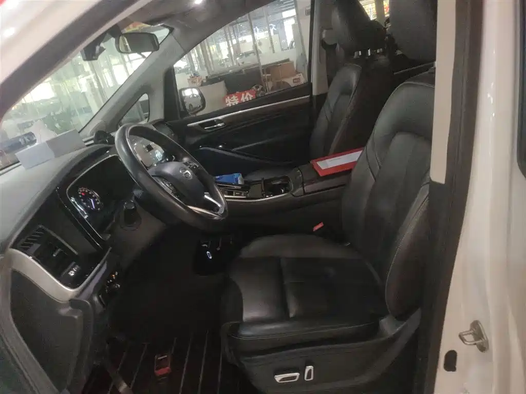 GAC Trumpchi Trumpchi M8 2021 Leading Show Series 390T Premium Edition фото 11