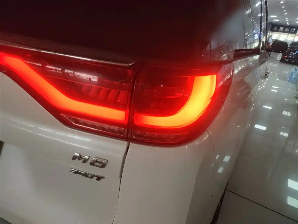 GAC Trumpchi Trumpchi M8 2021 Leading Show Series 390T Premium Edition фото 24
