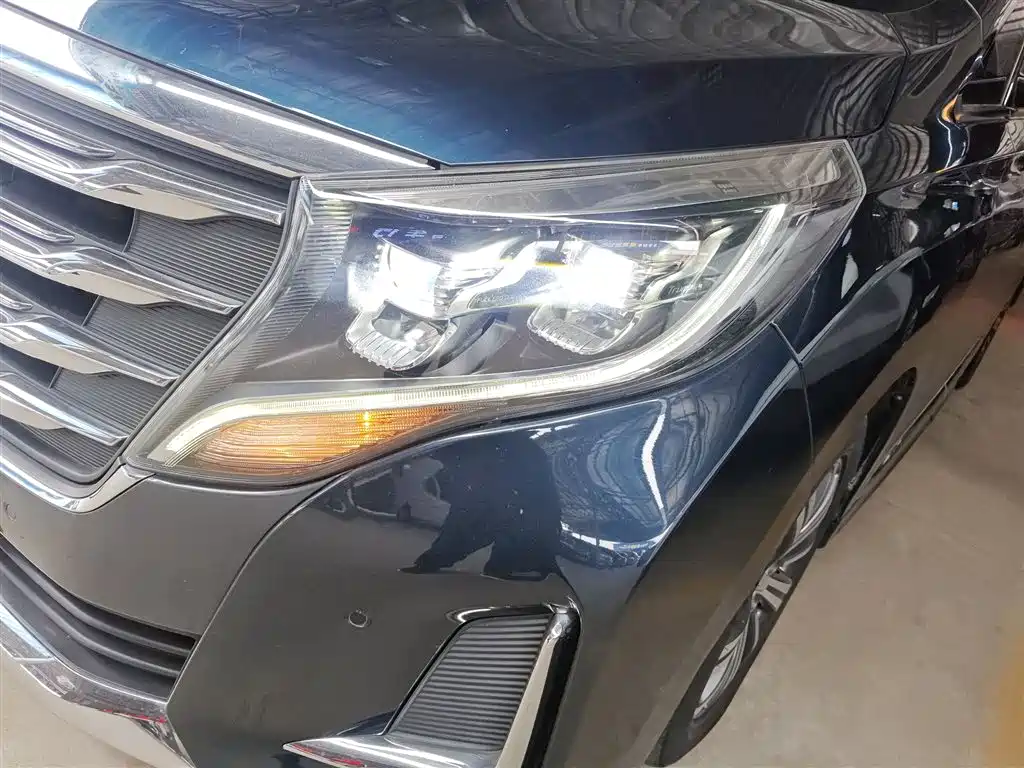 GAC Trumpchi Trumpchi M8 2020 Pilot 390T Premium Edition фото 24