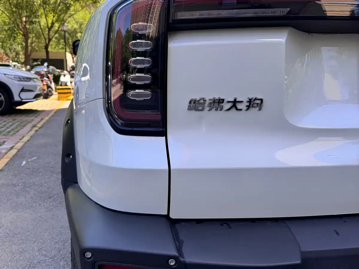 Haval Big Dog 2024 2.0T DCT Chinese Rural Dog Edition фото 8
