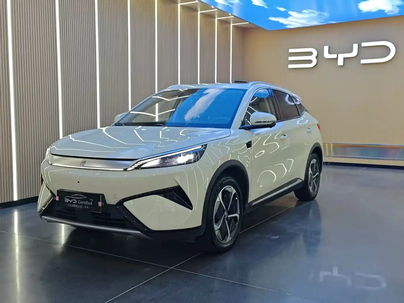 BYD Yuan PLUS 2025 2025 Smart Drive 510KM Surpass Edition