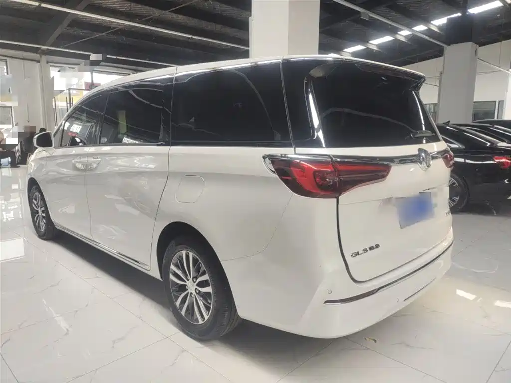 Buick GL8 2023 ES Landmaster Comfort фото 5