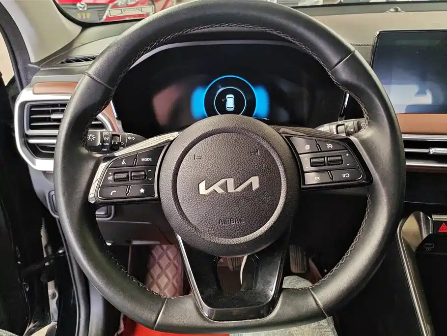 Kia Sportage 2021 Ace 2.0L Challenge Edition фото 15