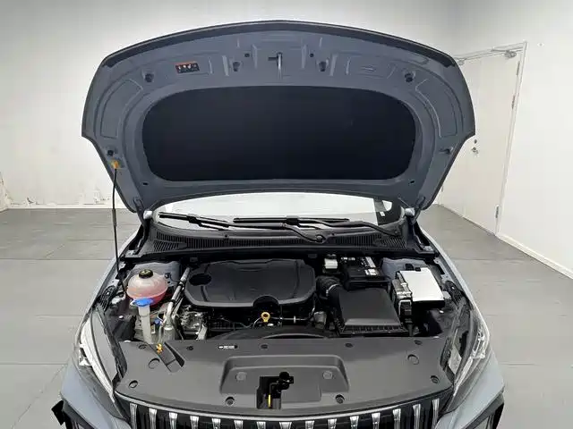 Фото 15 - Geely Binrui