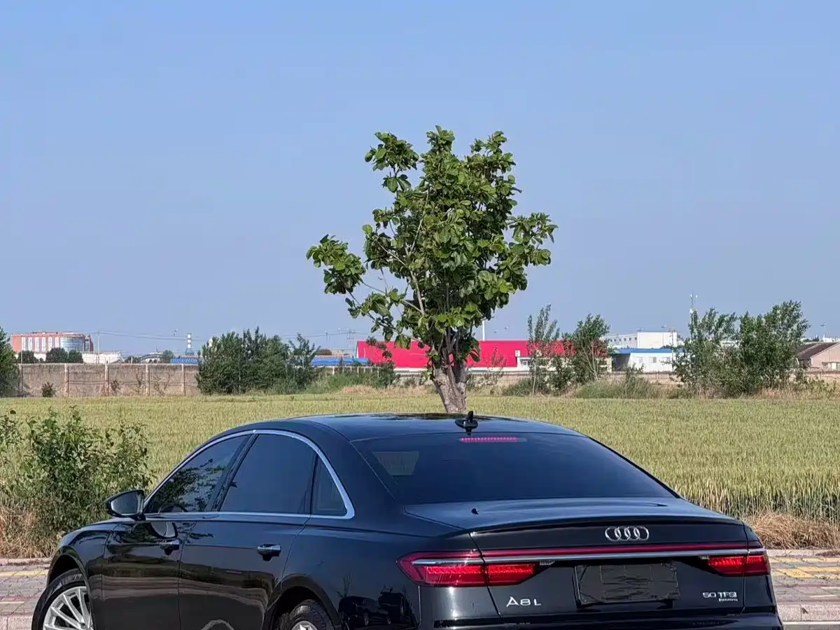Audi A8 2019 Plus A8L 50 TFSI quattro Comfort фото 9
