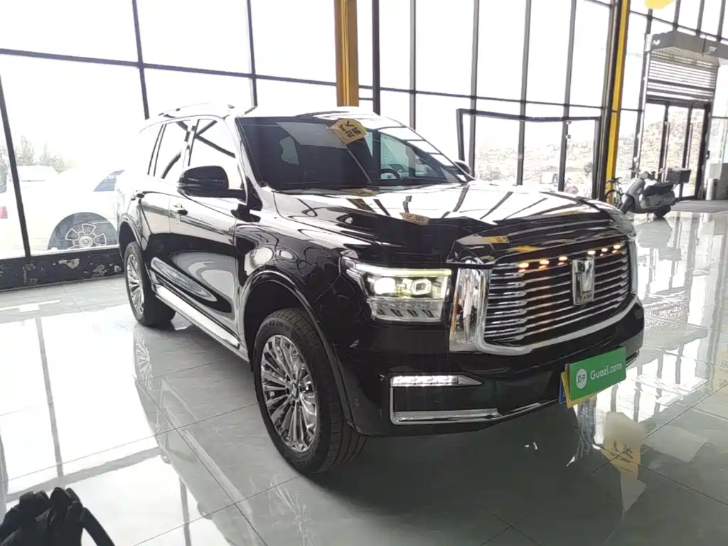 Tank 500 2022 2022 3.0T Business Edition Zaojing 5-Seater