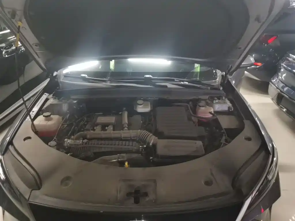 BYD Qin PLUS 2025 DM-i Smart Drive 55KM Leader фото 20