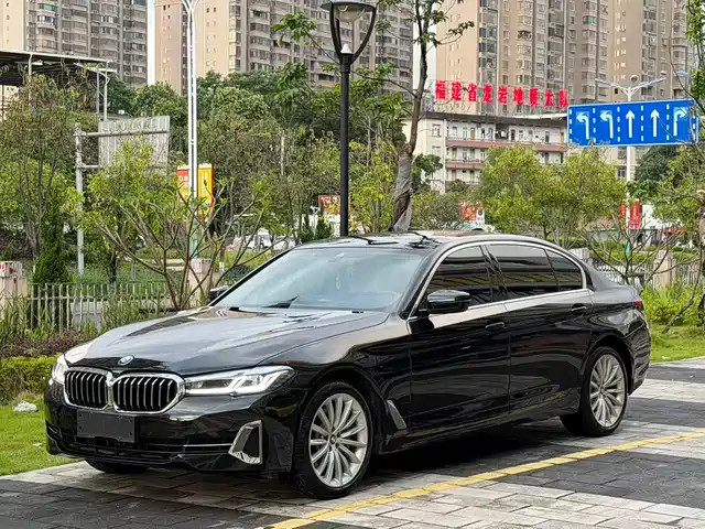 BMW 5 530Li, Престиж, Люкс-пакет