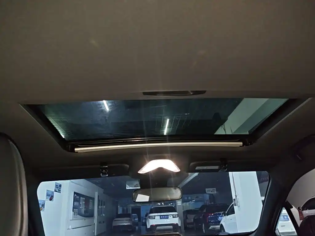 Toyota IZOA 2021 2021 2.0L Yichi SPORT