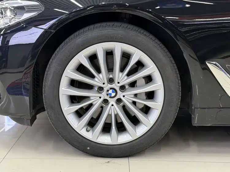 BMW 5 Series 2020 530Li Leading Luxury Package фото 8