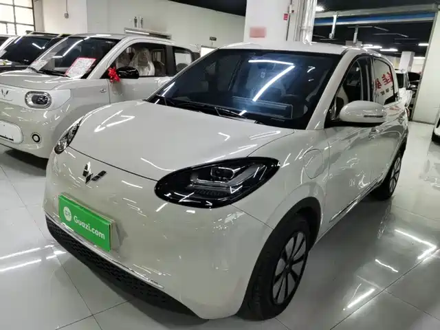  Wuling Motors Wuling Bingo 2024 333km Comfort Edition