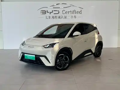 BYD Seagull