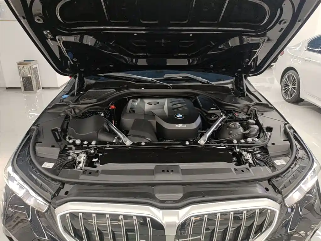 BMW 5 Series 2026 530Li Leading M Sport Package фото 20