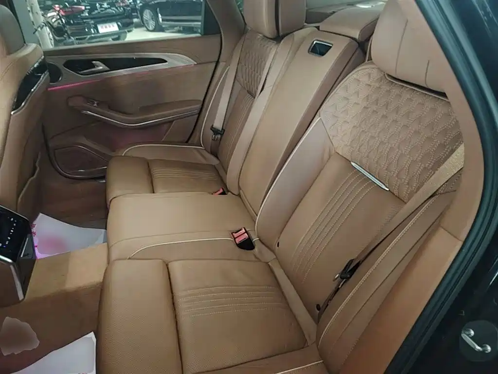 Hongqi H9 2020 2.0T Smart Connection Qi Chang Edition фото 13