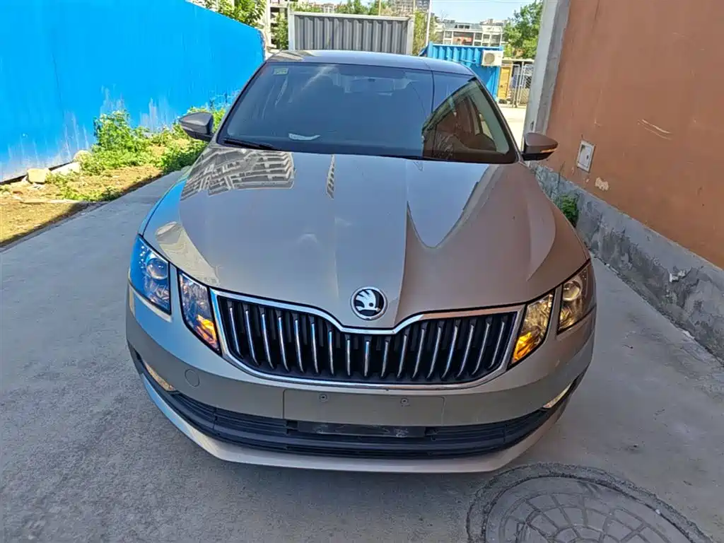 Škoda Octavia 2019 1.5L Automatic Smart Comfort China VI фото 3
