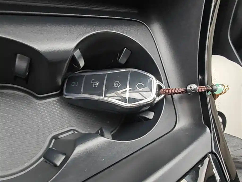 BYD Qin PLUS 2024 Glory Edition DM-i 55KM Leading фото 9