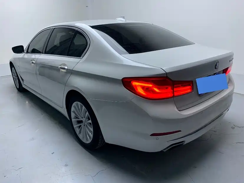 BMW 5 Series 2018 525Li Luxury Package фото 3