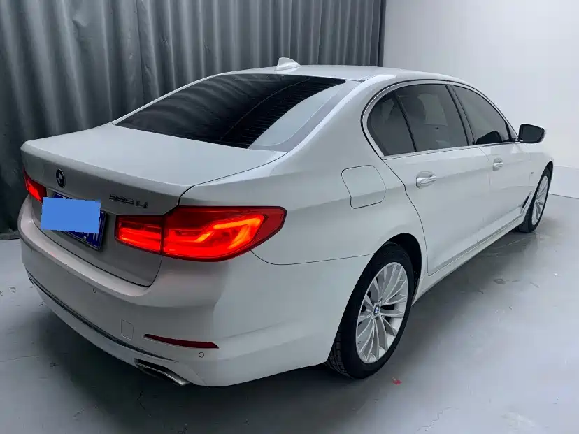 BMW 5 Series 2018 525Li Luxury Package фото 4