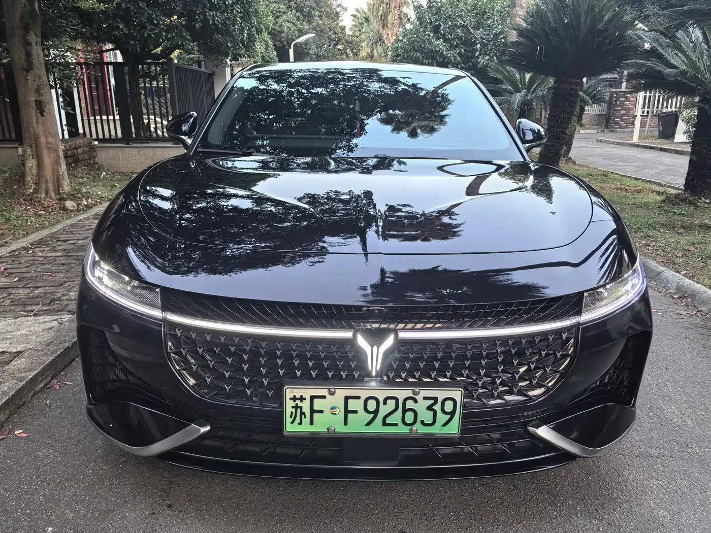 Voyah Passion 2024 2024 PHEV AWD Ultra Long Range Flagship