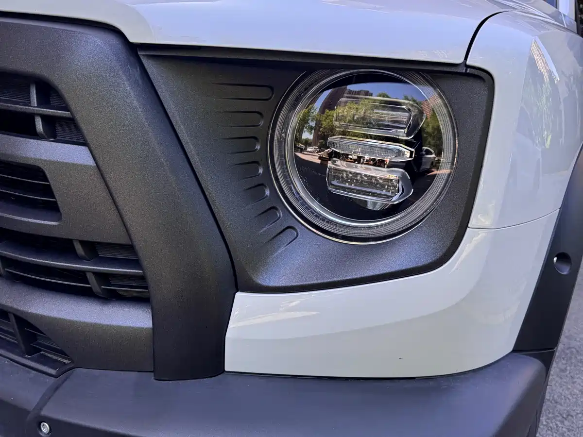 Haval Big Dog 2024 2.0T DCT Chinese Rural Dog Edition фото 26