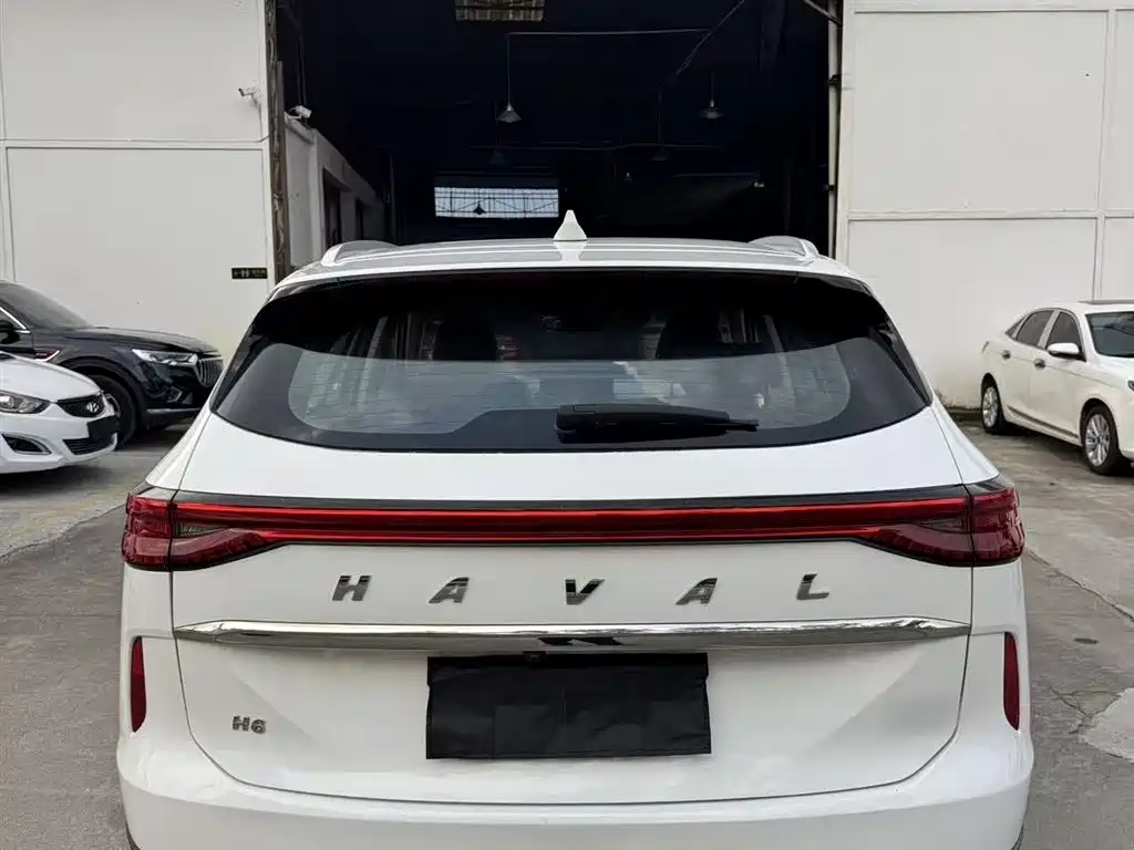 Haval H6 2021 3rd Generation 2.0T Auto 2WD Max фото 8