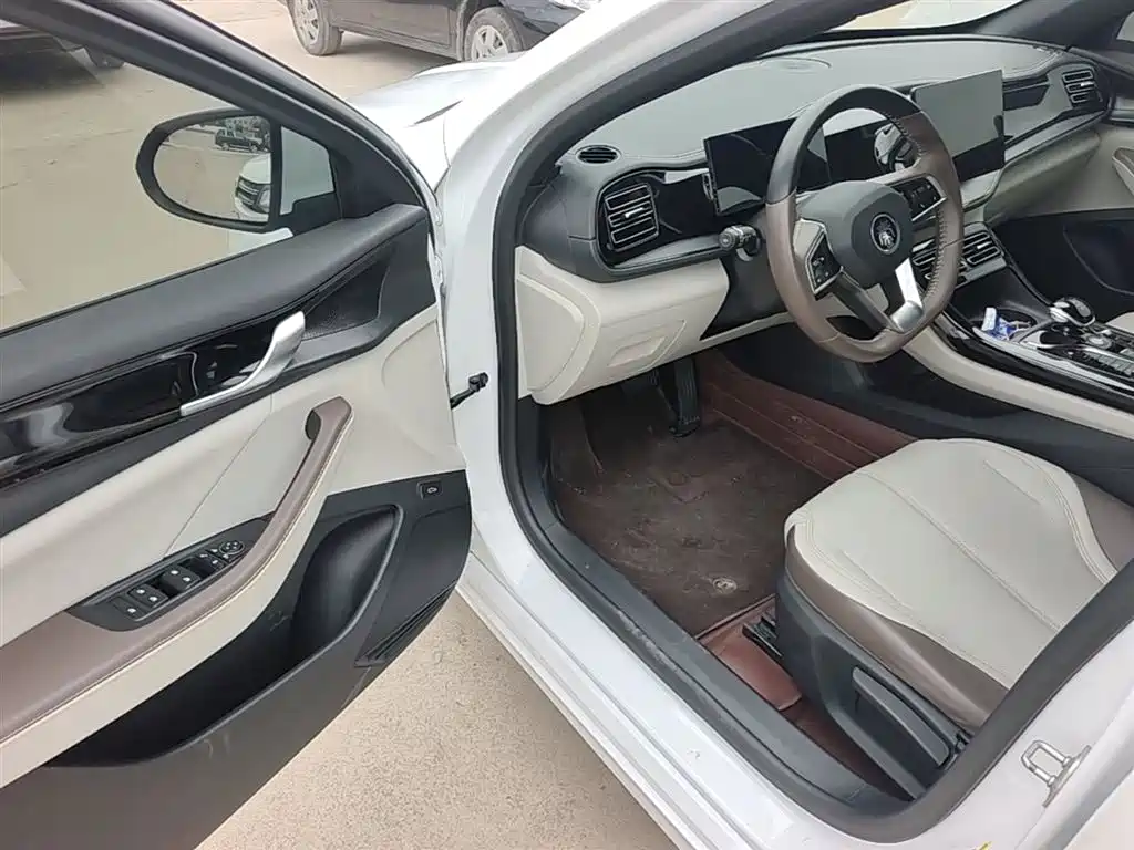 BYD Qin PLUS 2023 Champion Edition DM-i 55KM Leading фото 16