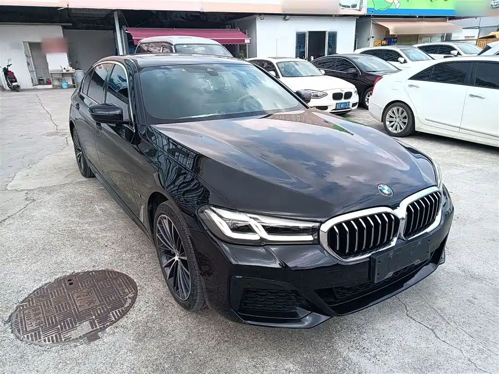 BMW 5 Series 2021 Facelift 530Li Leading M Sport Package фото 22
