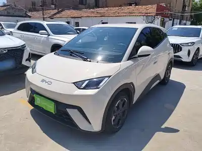 BYD Seagull