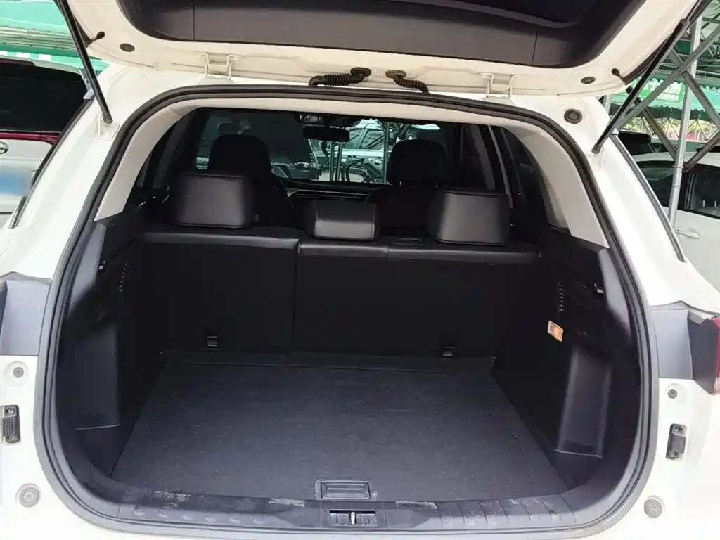 GAC Trumpchi Trumpchi GS5 2019 235T Automatic Luxury фото 19