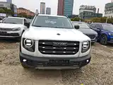 Фото 3 - Haval Dargo