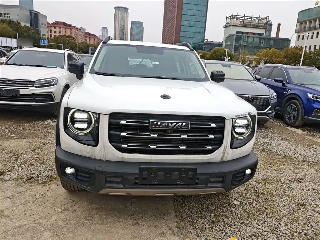 Фото 3 - Haval Dargo
