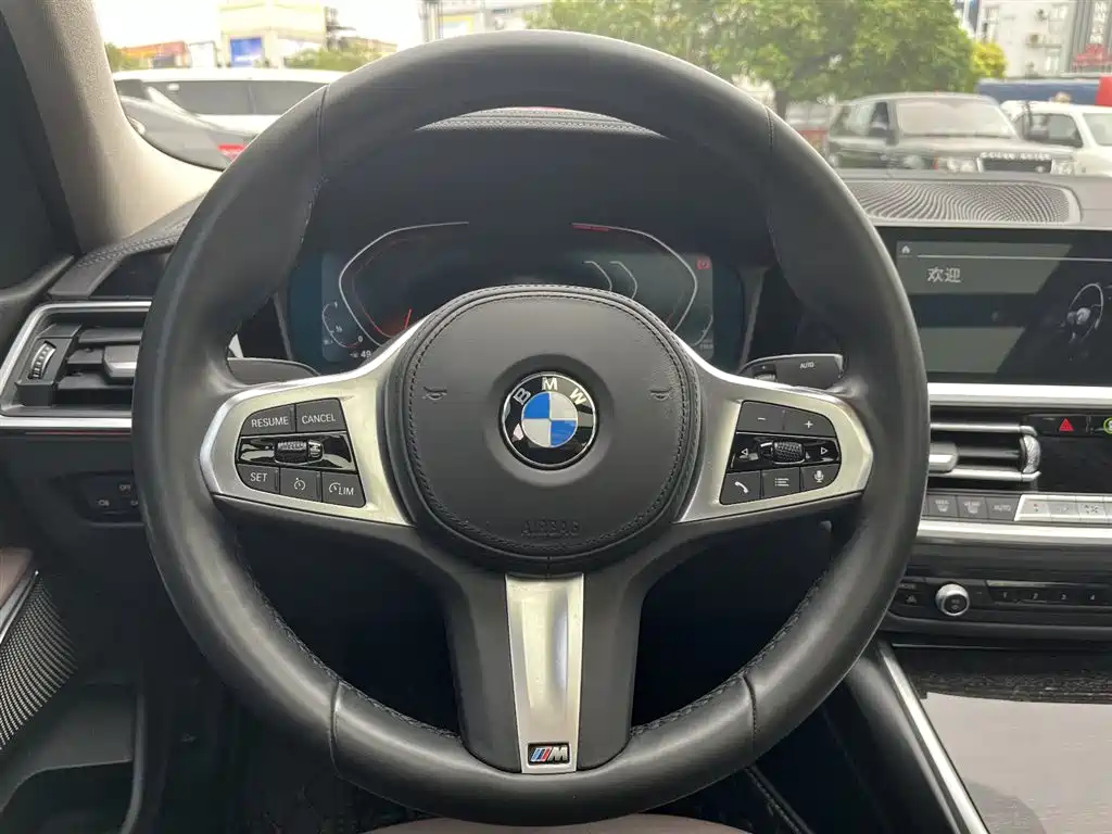 BMW 3 Series 2020 325Li M Sport Package фото 18