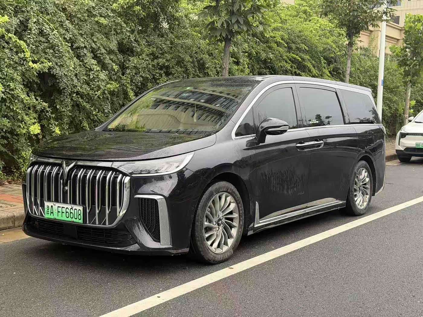 Voyah Auto Voyah Dreamer