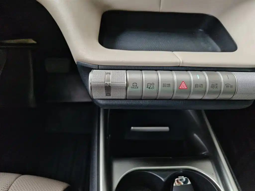 BYD Dolphin 2023 420km Fashion Edition фото 14