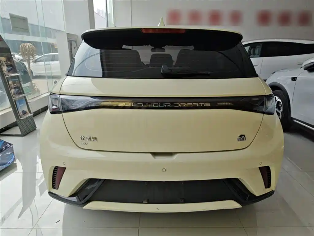 BYD Dolphin 2023 420km Fashion Edition фото 6