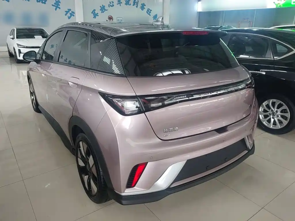 BYD Dolphin 2022 2021 401km Knight Edition