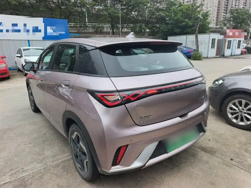 BYD Dolphin 2021 Model 405km Fashion Edition фото 5