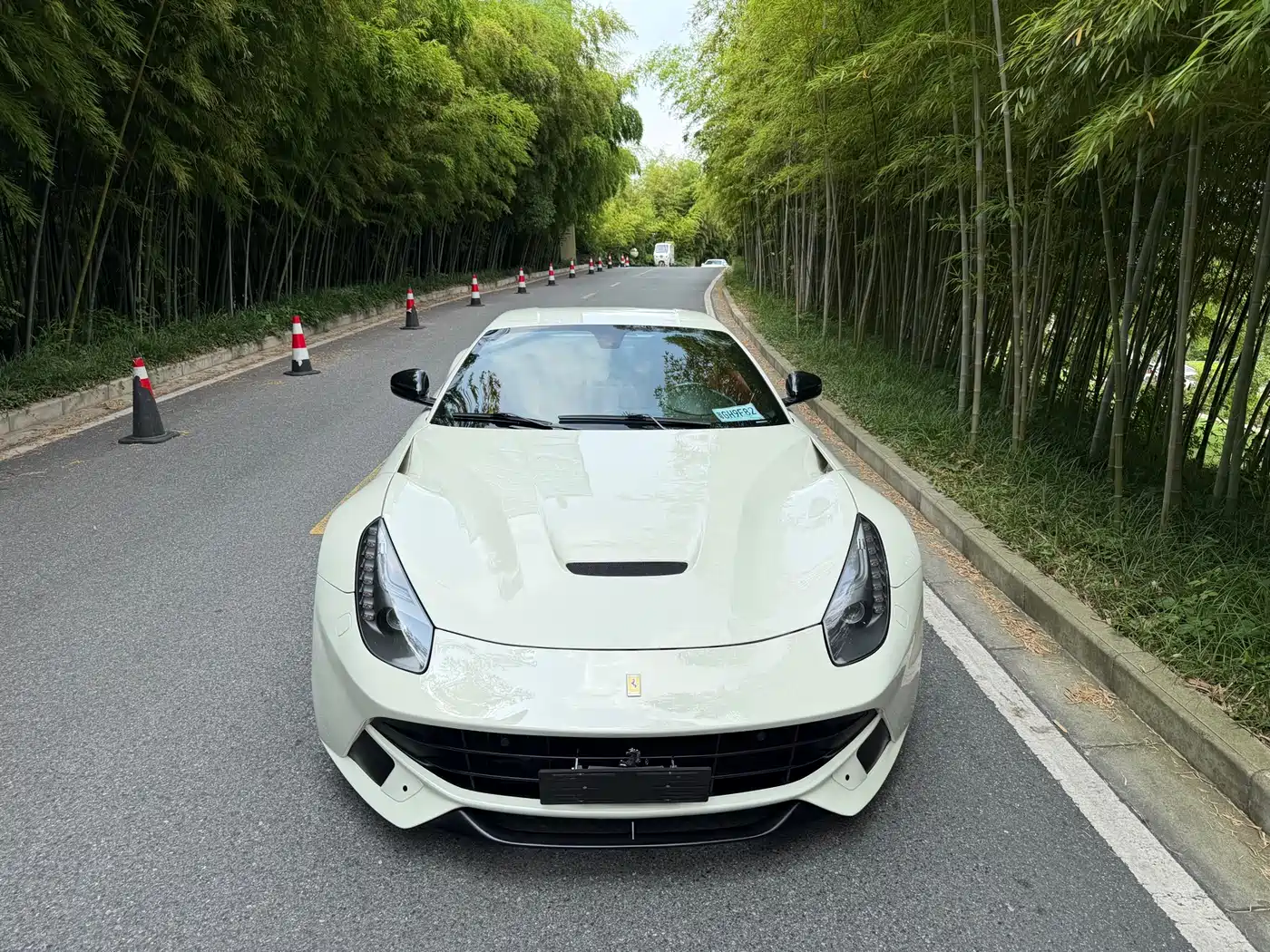 Ferrari F12berlinetta 2013 6.3L Standard фото 2
