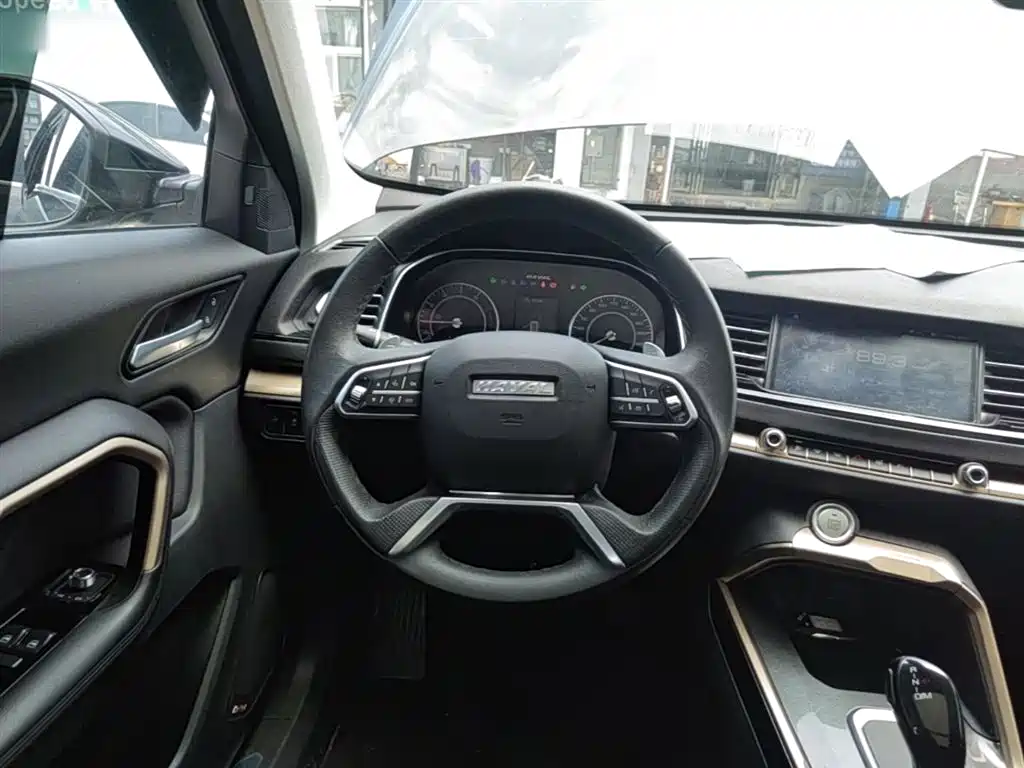 Haval H6 2019 1.5GDIT Automatic Champion Edition China VI фото 11