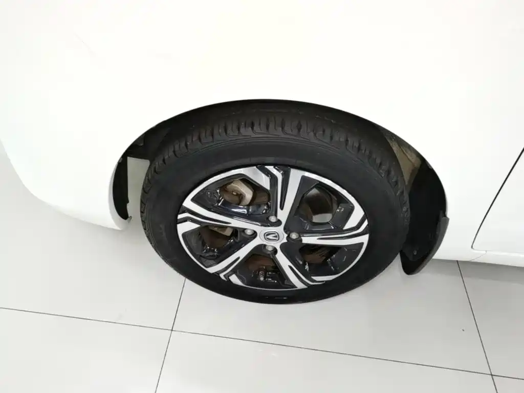 Changan Benben E-Star 2020 2020 Heartbeat Edition (NMC Battery)
