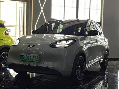 Wuling Bingo