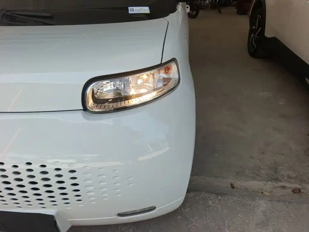 Ora White Cat 2021 2020 401km Flagship Model