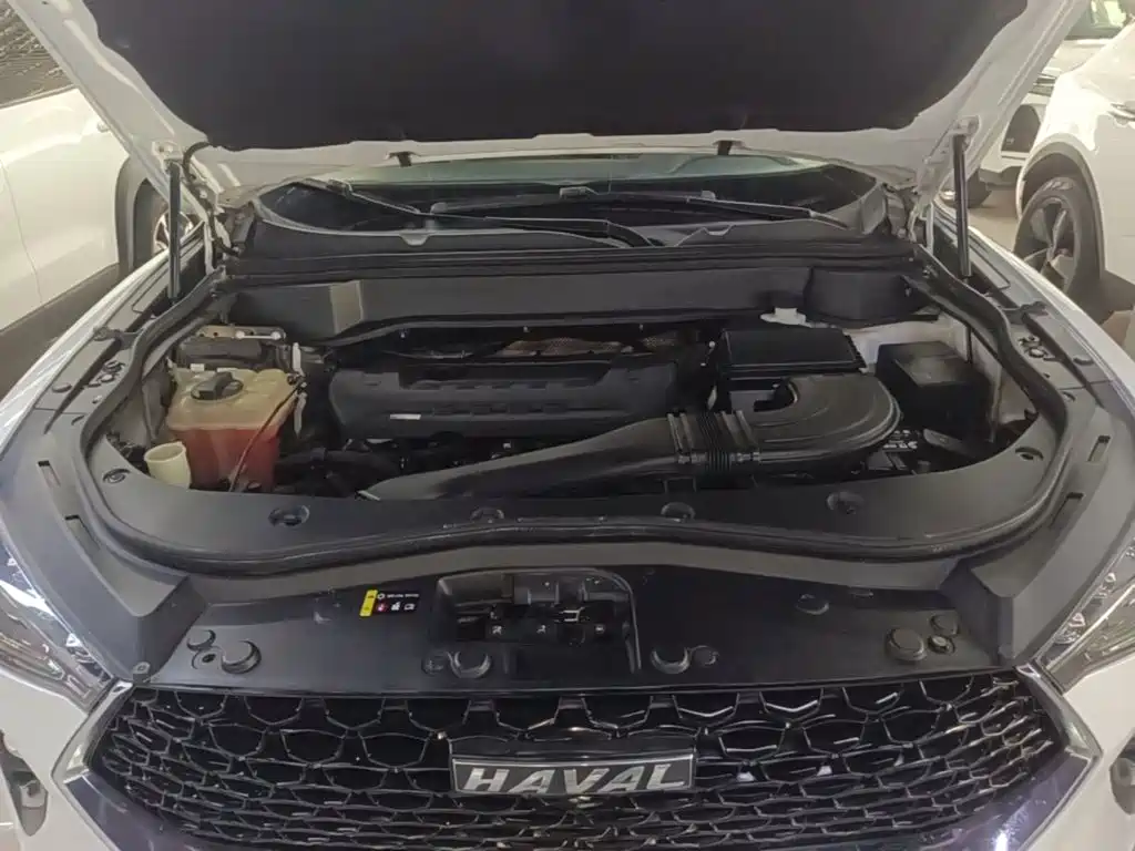 Фото 20 - Haval F7x