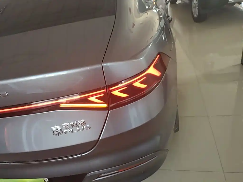 BYD Qin PLUS 2023 Champion Edition DM-i 55KM Leading фото 8